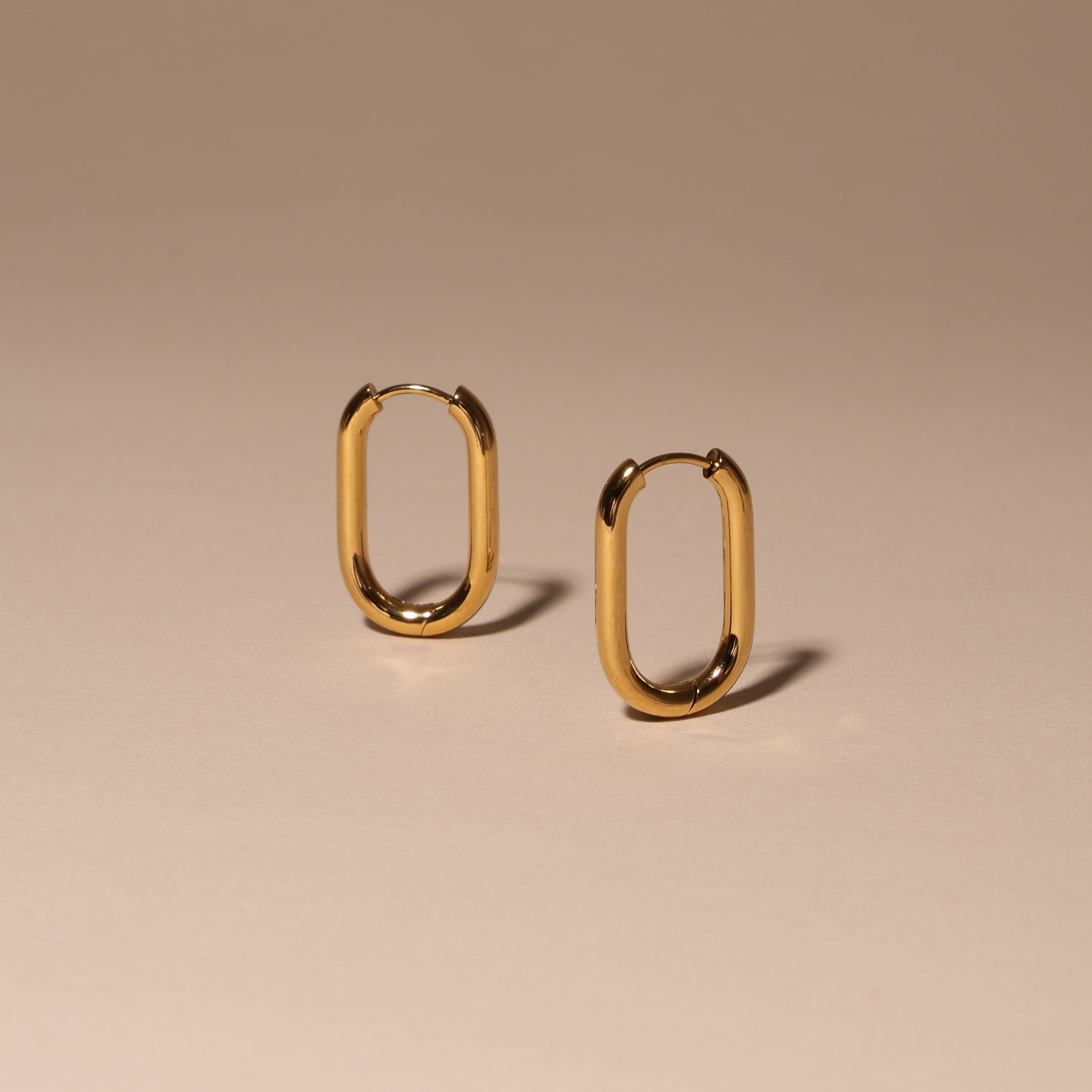 Oval Hoop Earrings