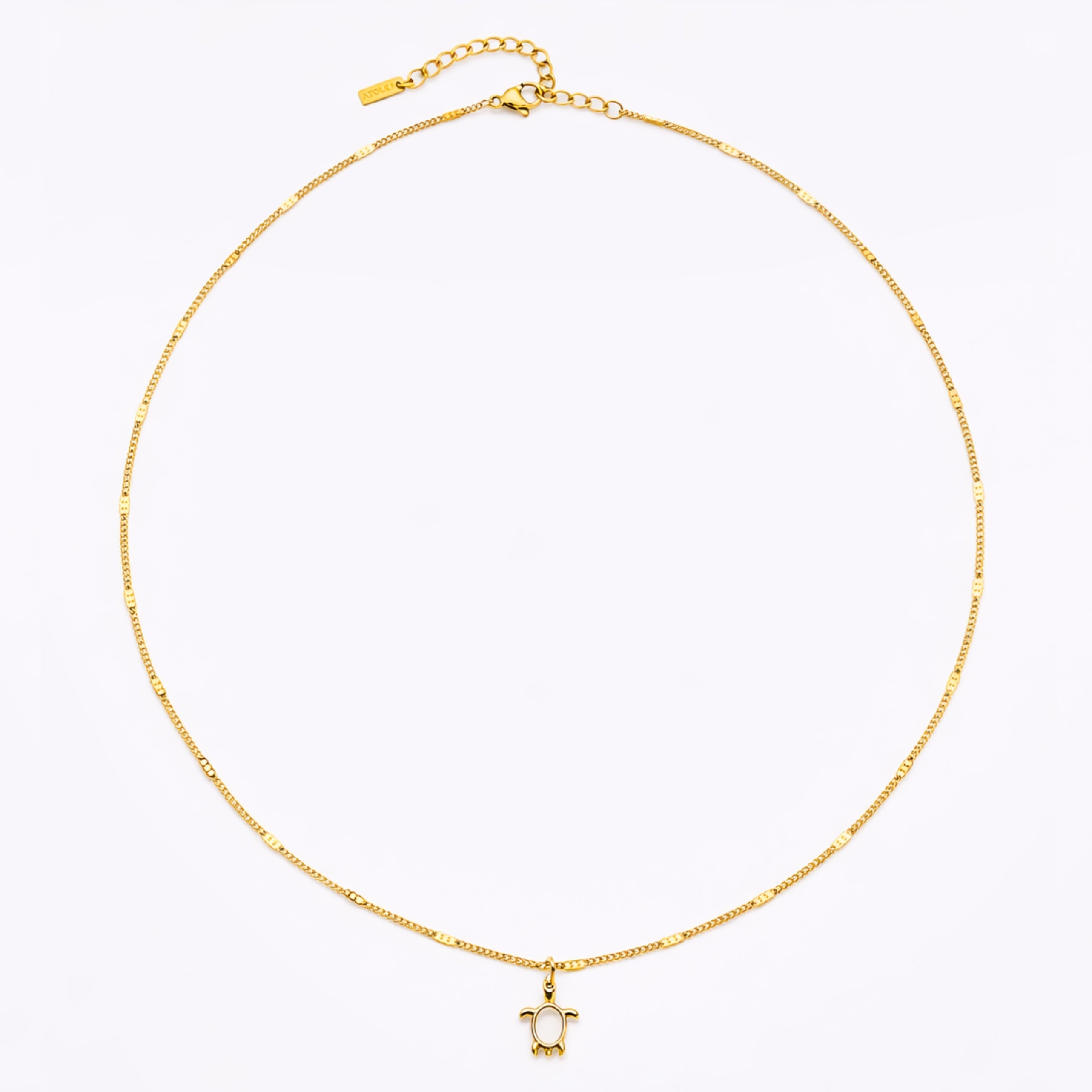 Turtle Guardian Necklace